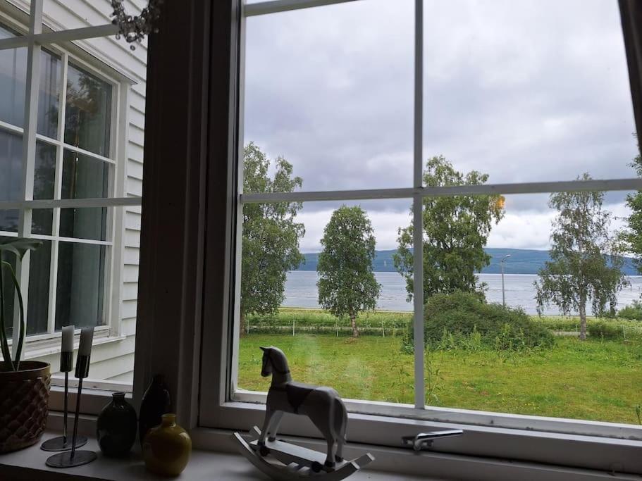 Privat Leilighet Pa Gard Med Badstue Og Nordlys Narvik Kültér fotó