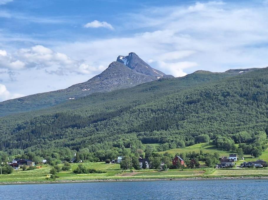 Privat Leilighet Pa Gard Med Badstue Og Nordlys Narvik Kültér fotó